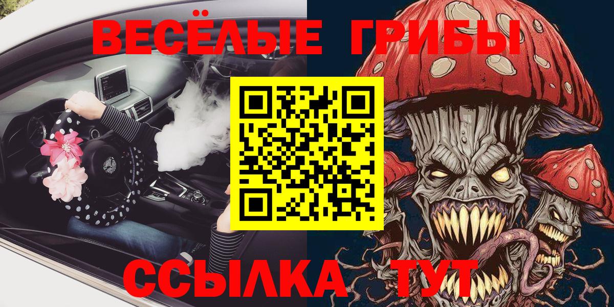 Галлюциногенные грибы Magic Shrooms  купить наркоту  Рузаевка  Вход с VPN 
